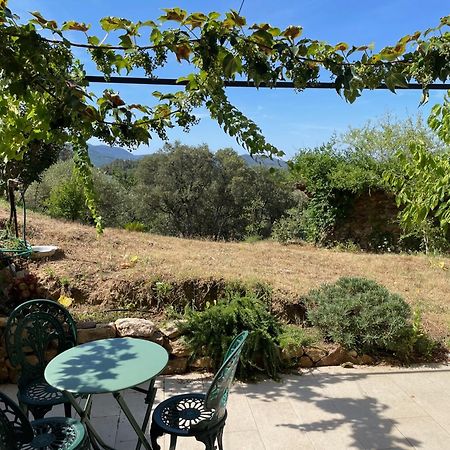 Cottage Les Marjoris Tanneron Dış mekan fotoğraf